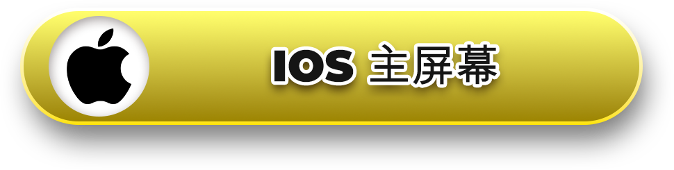 ios-MYR_ZH IOS HOME SCREEN